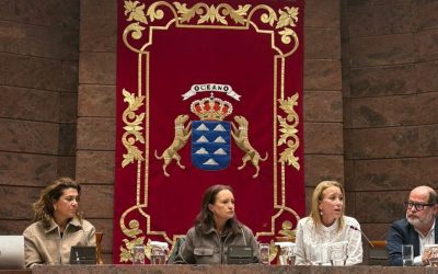 INSUCAN, VOZ ÚNICA DEL PROFESORADO EN EL DEBATE SOBRE EL FUTURO DE LA FUNCIÓN PÚBLICA EN CANARIAS.