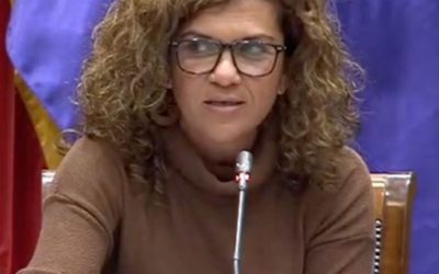 INSUCAN DEFIENDE AL PERSONAL DOCENTE EN EL PARLAMENTO DE CANARIAS