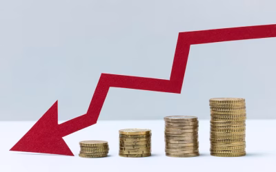 LA OPORTUNIDAD ROBADA: PÉRDIDA DE PODER ADQUISITIVO