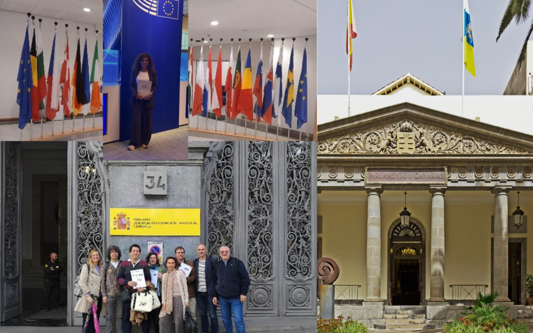 de Canarias a Europa por la enseñanza pública