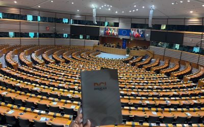 Docentes de Canarias-INSUCAN lleva la voz de la educación pública canaria al Parlamento Europeo